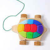 Pull Along Rainbow Turtle with Blocks