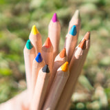 Stockmar Coloring Pencils - Set of 12 Colors @ 大樹孩子生活館             Tree Children's Lodge, Hong Kong - 2